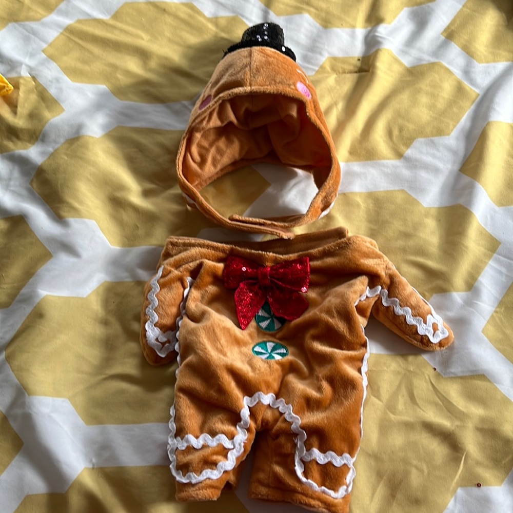 Dog Gingerbread Costume